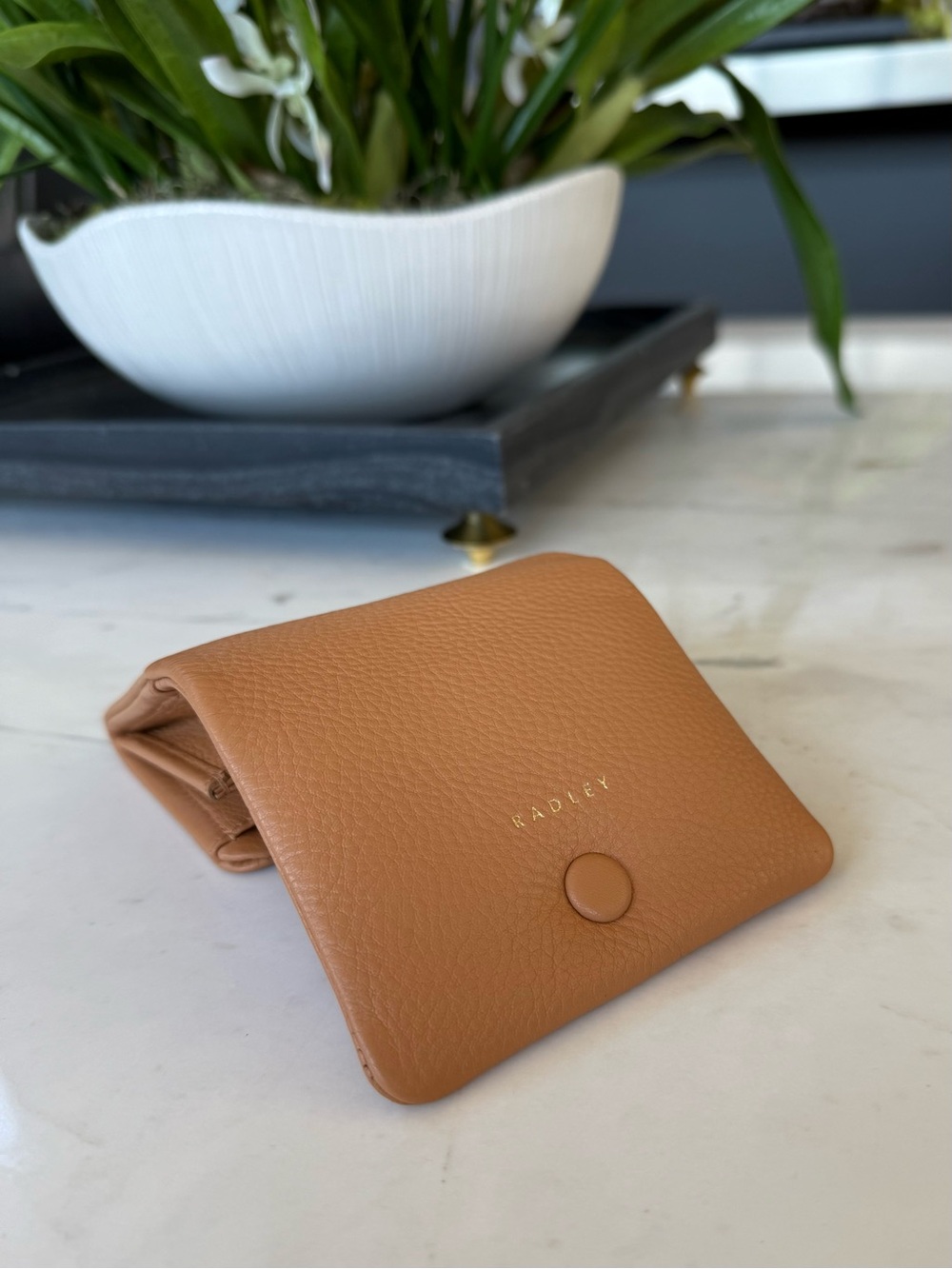 New Radley London Leather Mallow Street Mini Wallet Purse - Picture 14 of 16